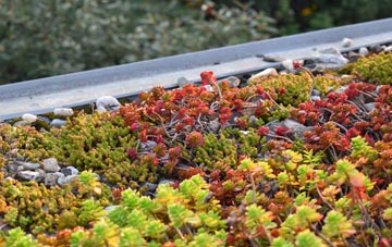 the cost of Frieze Hill green roof installation