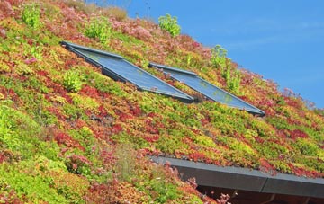 Frieze Hill living roof systems