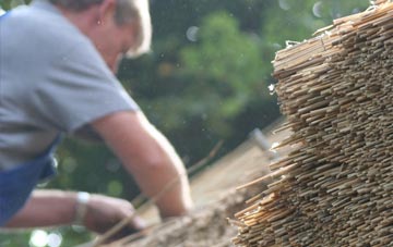 professional Frieze Hill thatchers