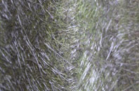 Frieze Hill fibreglass roof work